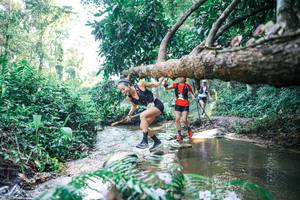 BIB: 
                            <button type="button" onclick="openModal(25438326)" class="btn btn-primary btn-sm float-right btn-popup" data-toggle="modal" data-target=".modal-high-quality">
                        <i class="fas fa-shopping-cart"></i> Add to Cart
                    </button>
                                            <button type="button" onclick="isThisMe(25438326, true)" class="btn btn-success btn-sm float-right btn-popup btn-isme hidden" data-toggle="tooltip" data-placement="bottom" title="นี่คือรูปของคุณใช่ไหม คลิกที่นี่เพื่อเอาเข้าอัลบั้ม">
                        <i class="fas fa-plus"></i> Add to album
                    </button>
                    <button type="button" onclick="isThisMe(25438326, false)" class="btn btn-warning btn-sm float-right btn-popup btn-isnotme hidden">
                        <i class="fas fa-ban"></i> Remove from album
                    </button>